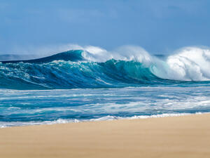 (Shutterstock/ File Photo)