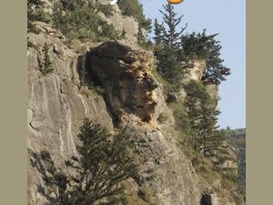 Trump rocks in TURKEY (Twitter)