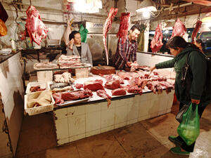 'Learn the Lesson': China's Dog Meat Festival Faces Demands Amid Coronavirus