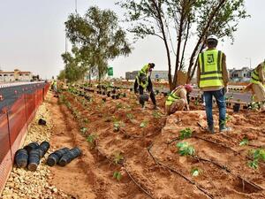 Green Riyadh (Twitter)