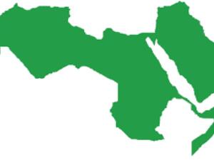 الوطن العربي