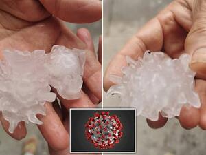 Coronavirus-shaped hailstones (Twitter)
