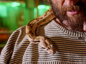 (Shutterstock/ File Photo)