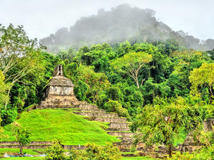 Ruins of Palenque in Chiapas, an ancient Maya city in Mexico  (Shutterstock)	