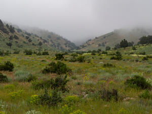 Mountains and valley of the Golestan National Park in Iran (Shutterstock)