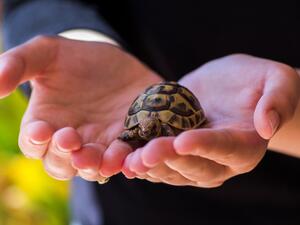 (Shutterstock/ File Photo)