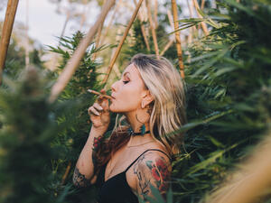 (Shutterstock/ File Photo)