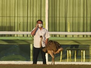 Brazilian President Jair Bolsonaro speaks on a mobile phone next to an emu outside the Alvorada Palace in Brasilia, Brazil, on July 13, 2020, in the midst of the new COVID-19 coronavirus pandemic. Bolsonaro tested positive for the coronavirus on July 7, after months minimizing the dangers of the disease. Sergio LIMA / AFP