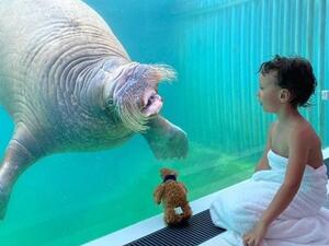 Mathieu Goedefroy, a spokesman for the zoo, said: 'If there's one thing our resort guests don't have, it's privacy. But that is something our animals do have because they all have access to enormous territories where they can easily hide if they don't want to be seen' (Instagram)