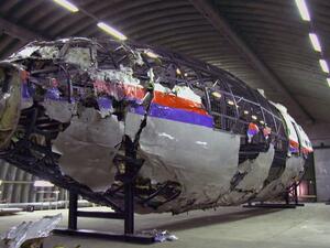Malaysia Airlines flight MH17 (Twitter)