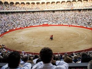 Bullfighting (Twitter)