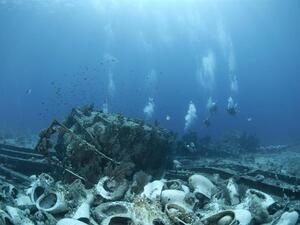 (Anna segeren/Shutterstock)