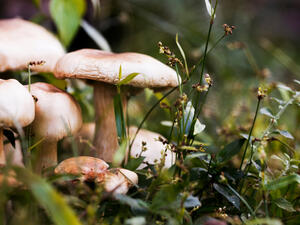 (Shutterstock/ File Photo)