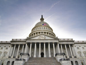 A view of the east steps of the United States Capitol Building  (Shutterstock)	