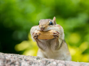 (Shutterstock/ File Photo)