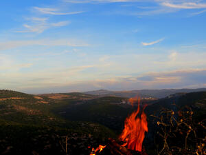 Fire near the forests of Ajloun in the north of Jordan. (Shutterstock/ File Photo)