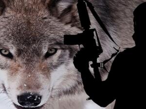  إزالة جميع المحتويات من كتيبات توضيحية أو رقمية تستخدم لتخطيط وتنفيذ الهجمات الإرهابية