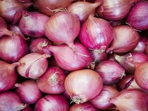 البصل الأخمر يتسبب بعدوى السالمونيلا، لحوالي 400 شخص في أكثر من 30 ولاية أمريكية