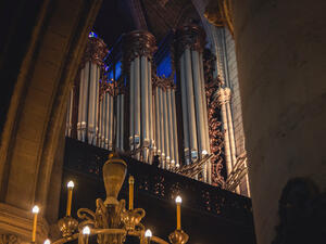 Pipe organ of Notre Dame Cathedral  (Shutterstock)	
