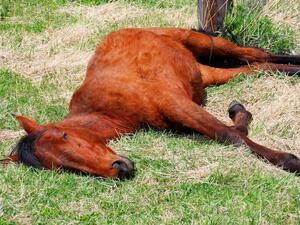 (Shutterstock/ File Photo)