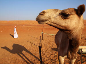 (Shutterstock/ File Photo)