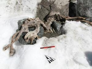 400-year-old goat (Twitter)