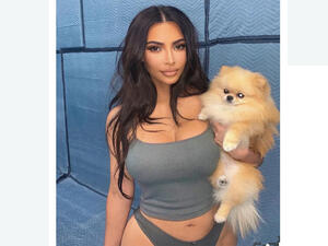 كلب كيم كاردشيان