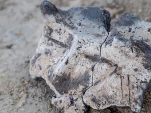 العثور على قناع ذو القرنين عمره 7000 سنة في بولندا