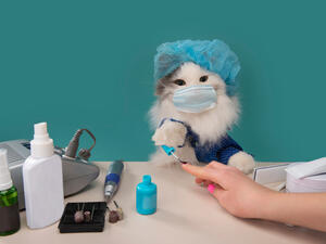 (Shutterstock/ File Photo)