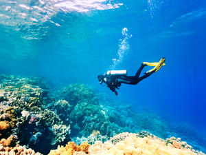The governor also mentioned that disabled people can also enjoy diving. (Shutterstock/ File Photo)