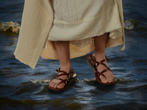 (Shutterstock/ File Photo)