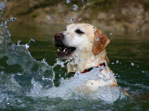 (Shutterstock/ File Photo)