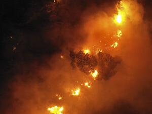 An aerial picture shows flames engulfing trees as a forest fire rages in Lebanon's Ras El Metn area, on October 10, 2020. AFP An aerial picture shows flames engulfing trees as a forest fire rages in Lebanon's Ras El Metn area, on October 10, 2020. AFP