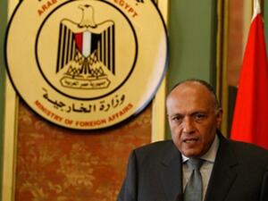 Egyptian Foreign Minister Sameh Shoukry  (Twitter)
