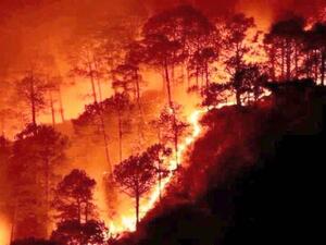 الحرائق مستمرة في سوريا