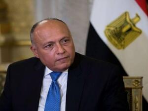 وزير الخارجية المصري سامح شكري