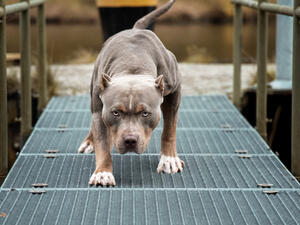 (Shutterstock/ File Photo)