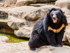 (Shutterstock/ File Photo)