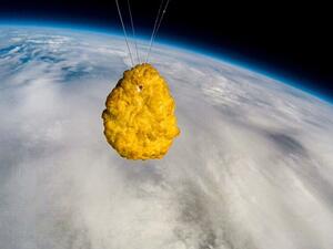 Chicken nugget sent into space for first time (Twitter)