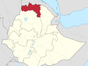 أعلنت قوات تيجراي أنها دمرت الفرقة 21 الآلية بالجيش الإثيوبي الاتحادي