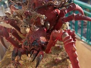 Elie Kesrouwany collection (Instagram)