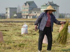  المناخ أصبح أكثر سخونة وجفافا منذ تسعينيات القرن العشرين