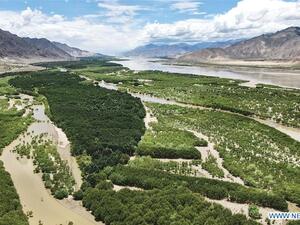 هنا في إقليم التبت بالصين سيتم إنجاز مشروع سد براهمابوترا