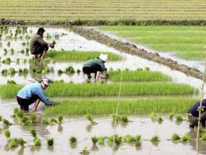3 أعاصير متتالية في أغسطس وسبتمبر دمرت الأراضي الزراعية والمحاصيل