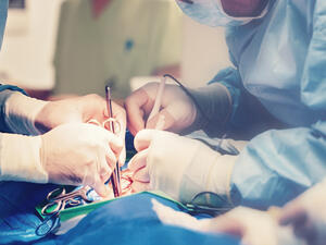 (Shutterstock/ File Photo)