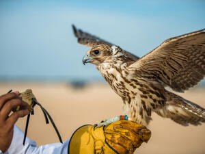 (Shutterstock/ File Photo)