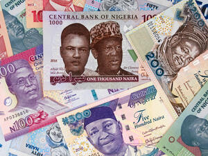 Nigerian money currency notes  (Shutterstock)	