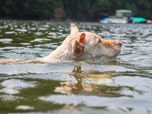 (Shutterstock/ File Photo)