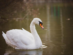 (Shutterstock/ File Photo)