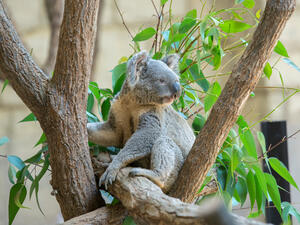 (Shutterstock/ File Photo)